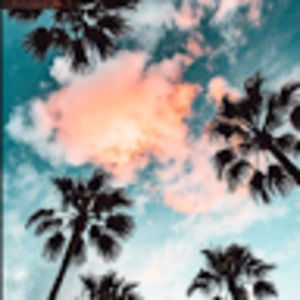 Meet your Posher, Brooklyn